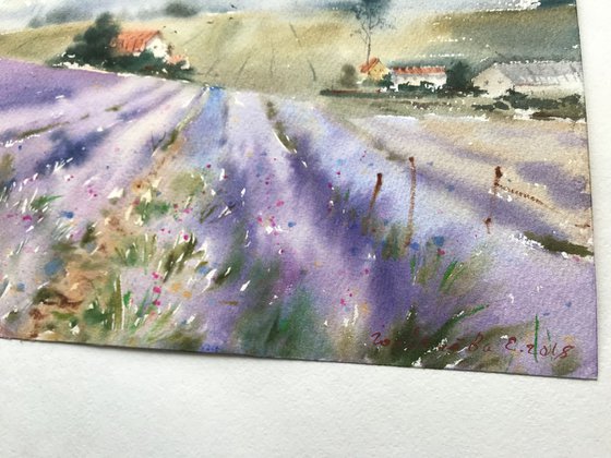 Lavender field and clouds