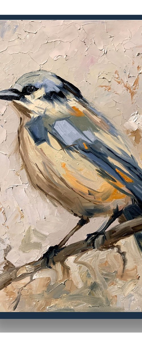 Quiet Observer. The Eurasian Nuthatch. by Vita Schagen