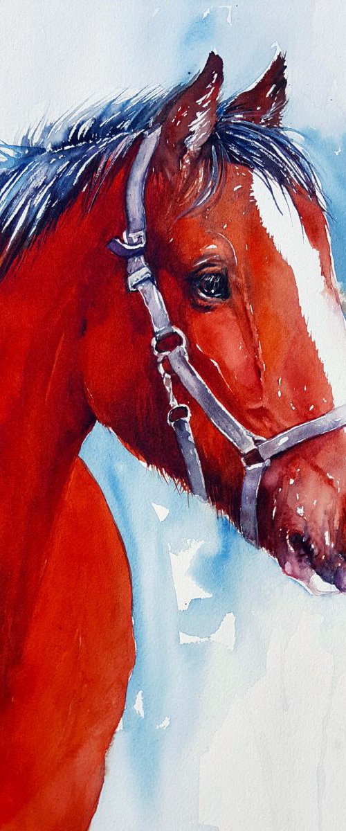 Horse in Red by Arti Chauhan