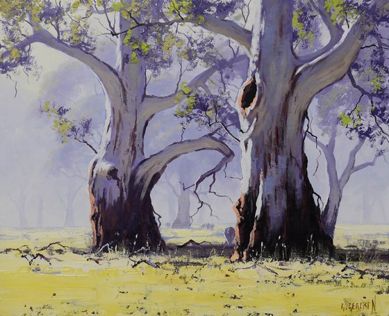 Australian Gum tree Landscape