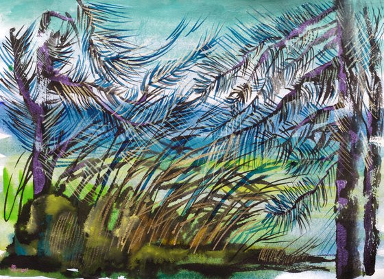 Pines by the river. Painting from nature on Lake Seliger
