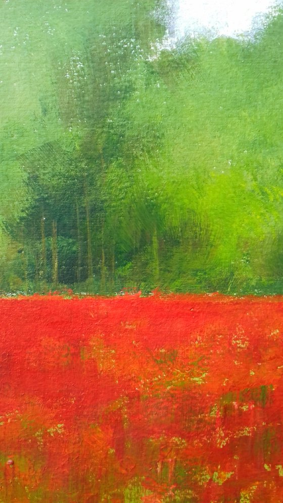 Field of Poppies IV