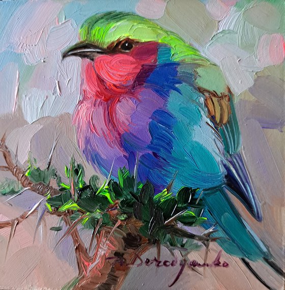 Bird painting colorful