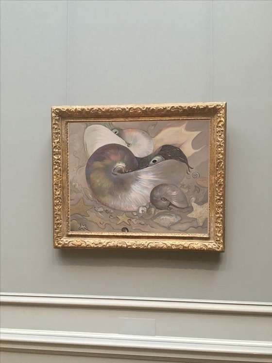 Nautilus Oil painting original (2023)