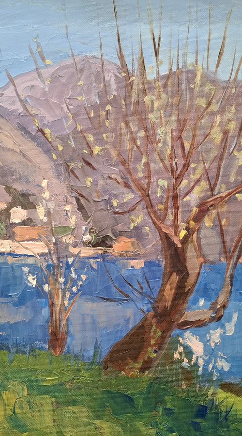 Spring on Lake. Blooming tree by Olena Kolotova