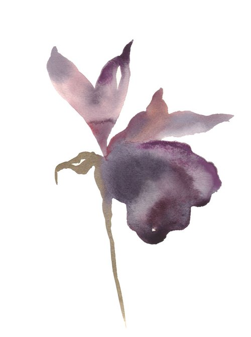 Iris No. 41 by Elizabeth Becker