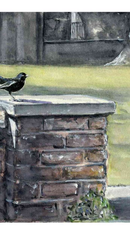 Mr Blackbird - Watercolour Landscape Bird Painting Impressionist Original Art by Neil Wrynne