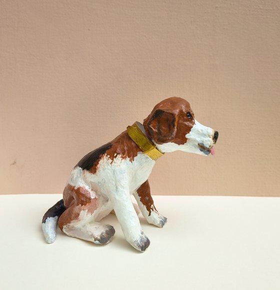 Head Turning Beagle