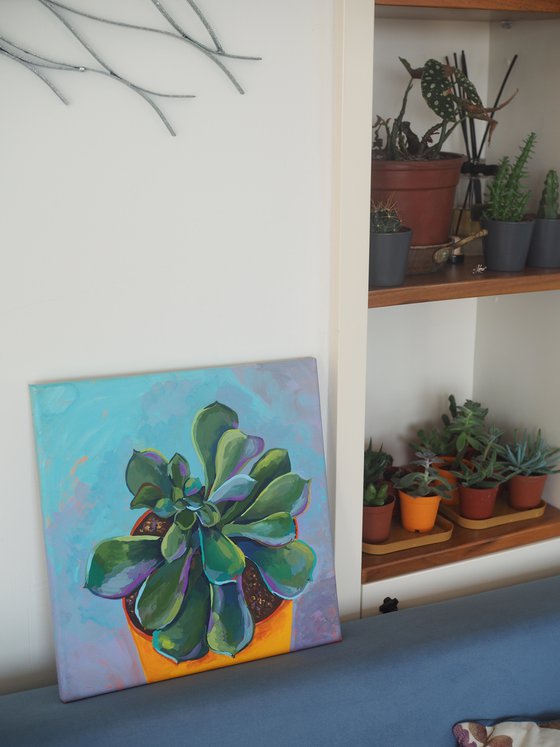 Pet succulent - original artwork