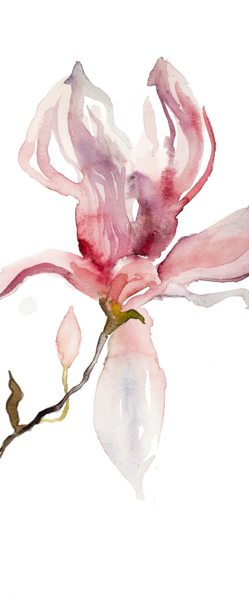 Magnolia No. 39 by Elizabeth Becker