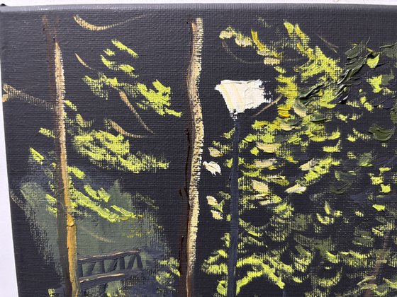 Midnight over the Forest Bridge