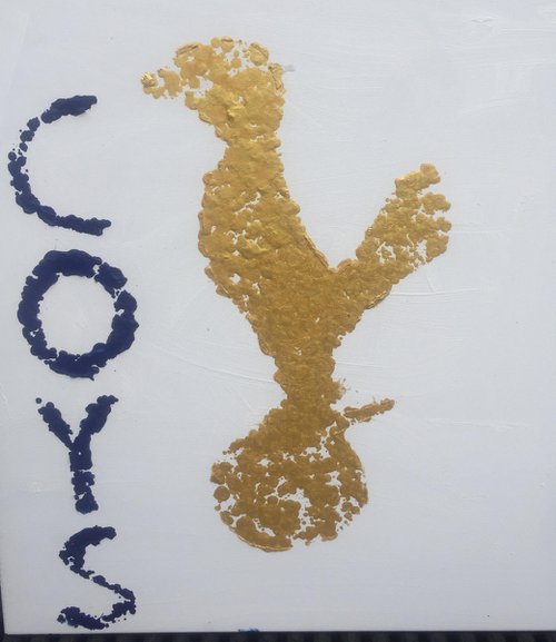 COYS by STIGY
