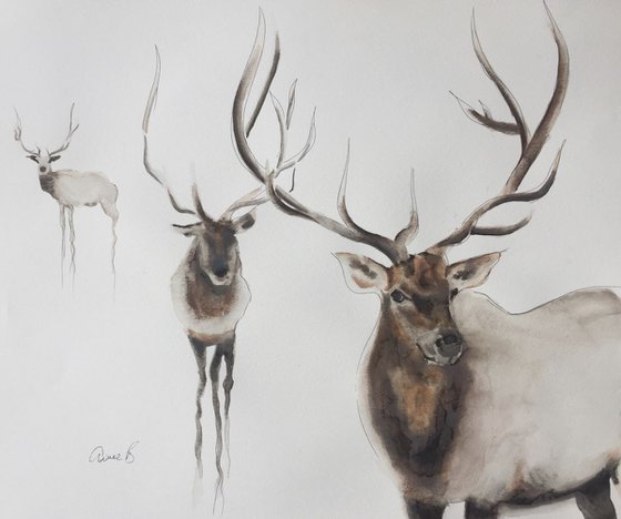 Three Elks large painting
