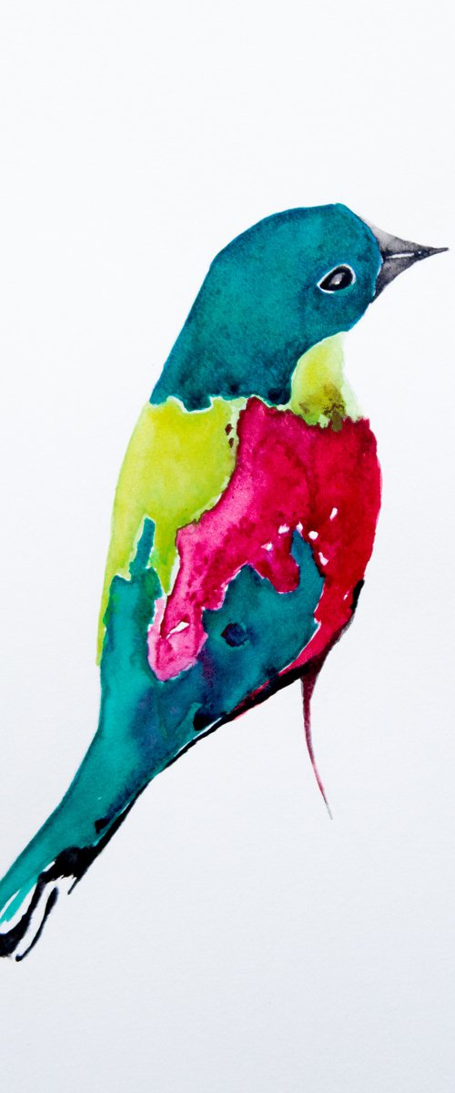 Bird by Nadia Moniatis