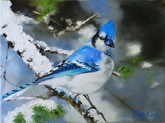 Blue Jay.