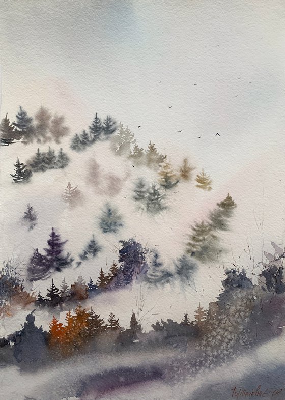 Mountain spruce forest #1