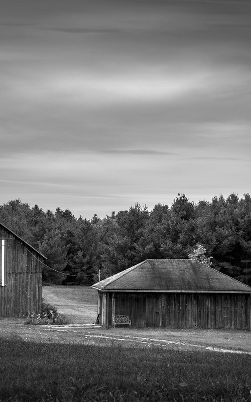 Fall Colors by Robert Tolchin