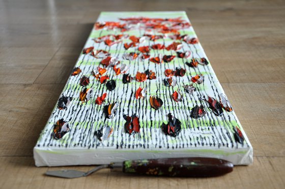 Poppy Flowers