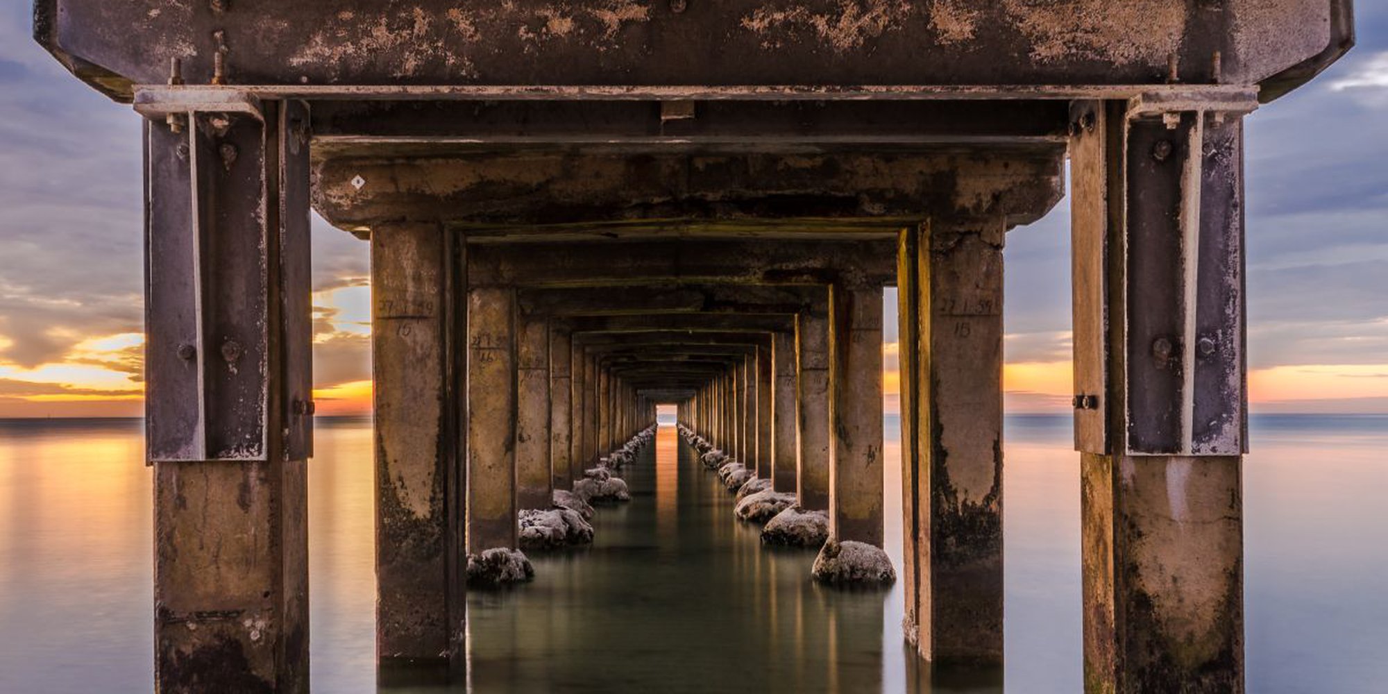 Art of the Day: "Peace - Aluminium Dibond" by Michelle Williams Photography