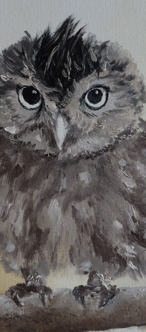 Owl Snoop by Valeriia Radziievska
