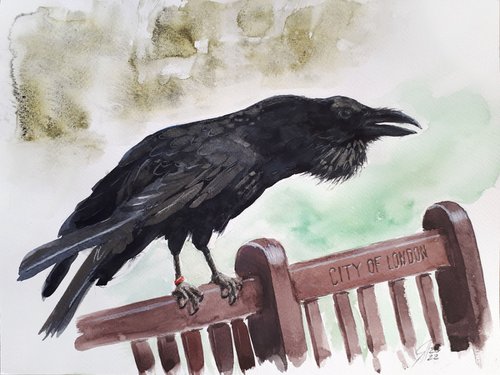 Raven of the Tower of London / FROM MY A SERIES OF BIRDS / ORIGINAL WATERCOLOR PAINTING by Salana Art Gallery