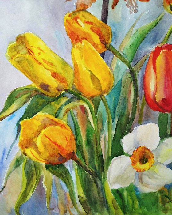 Spring Tulips