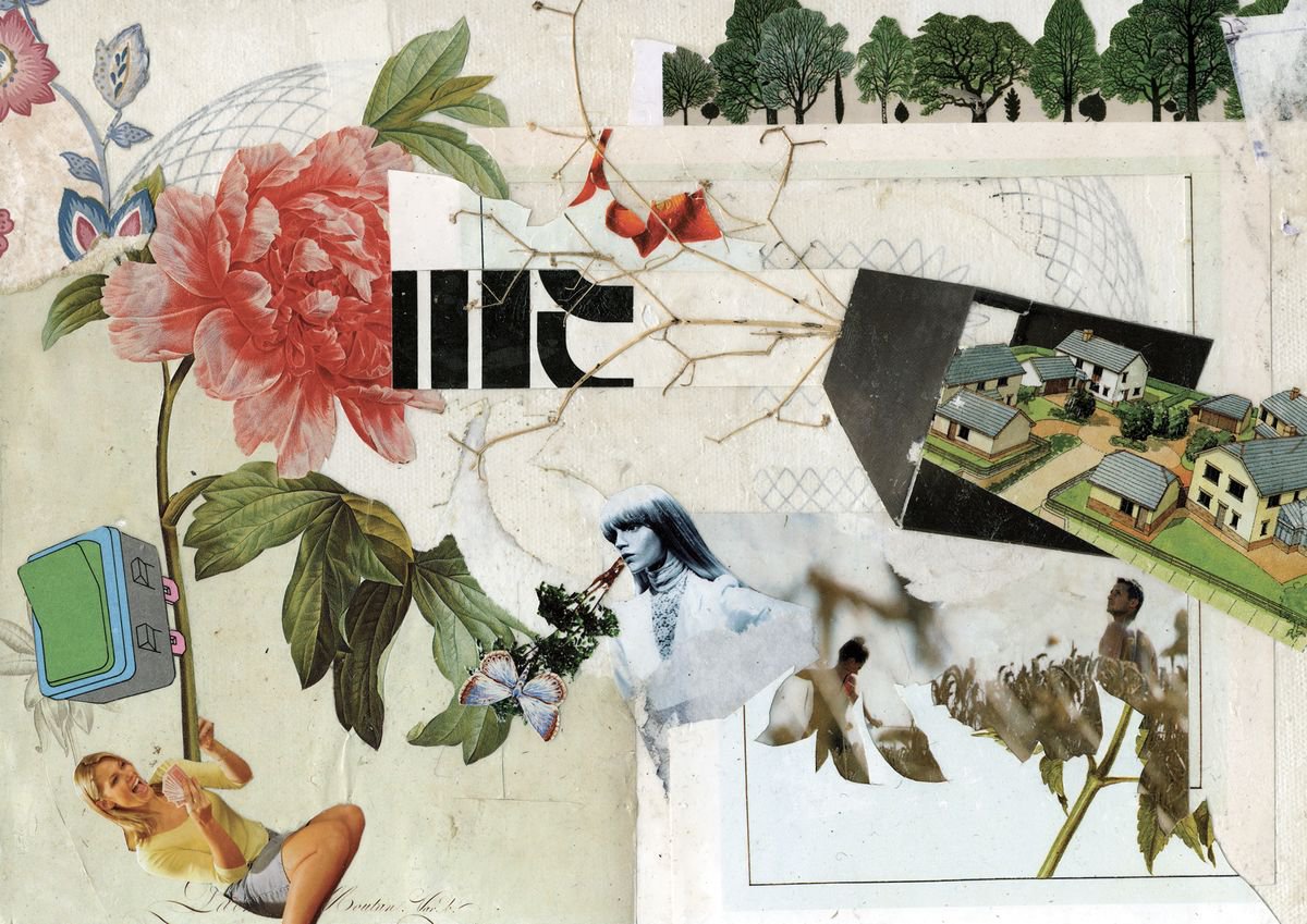 Abstract Collage By Benjamin West, 14 X 10, Modified Nature, Original Artwork