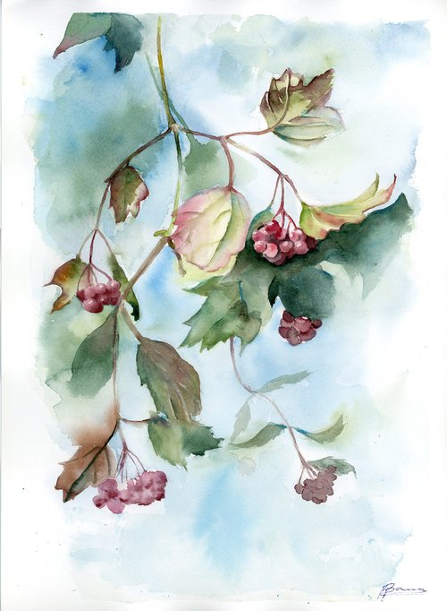 Branch with red berries - Original Watercolor Painting by Olga Shefranov (Tchefranov)