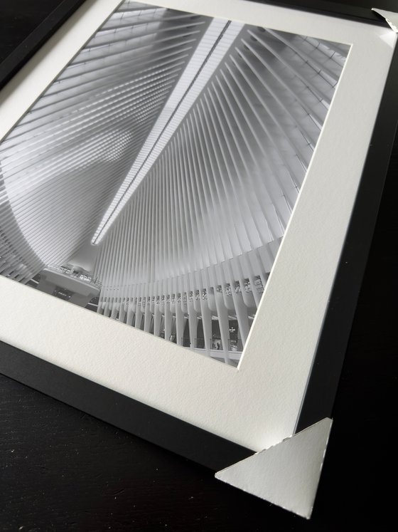 THE WHITE GEOMETRIES