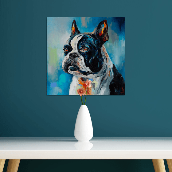 Boston Terrier