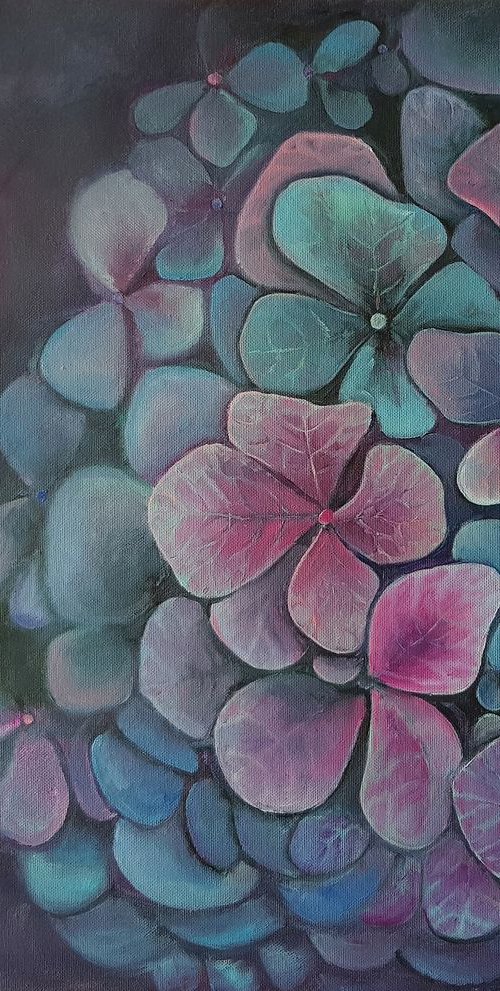 Hydrangea by Mary Voloshyna