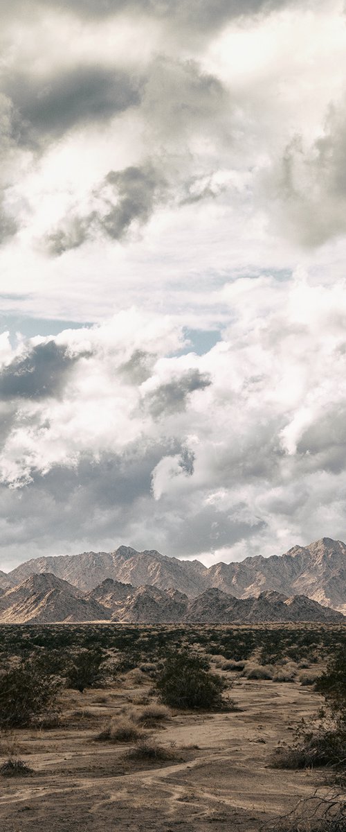 November Storm, Joshua Tree by Heike Bohnstengel