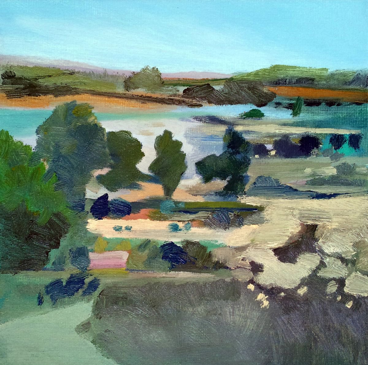 Organic Landscape Oil Painting By Adam Grose Ma Pgce, 8 X 8, Somerset, Original Artwork