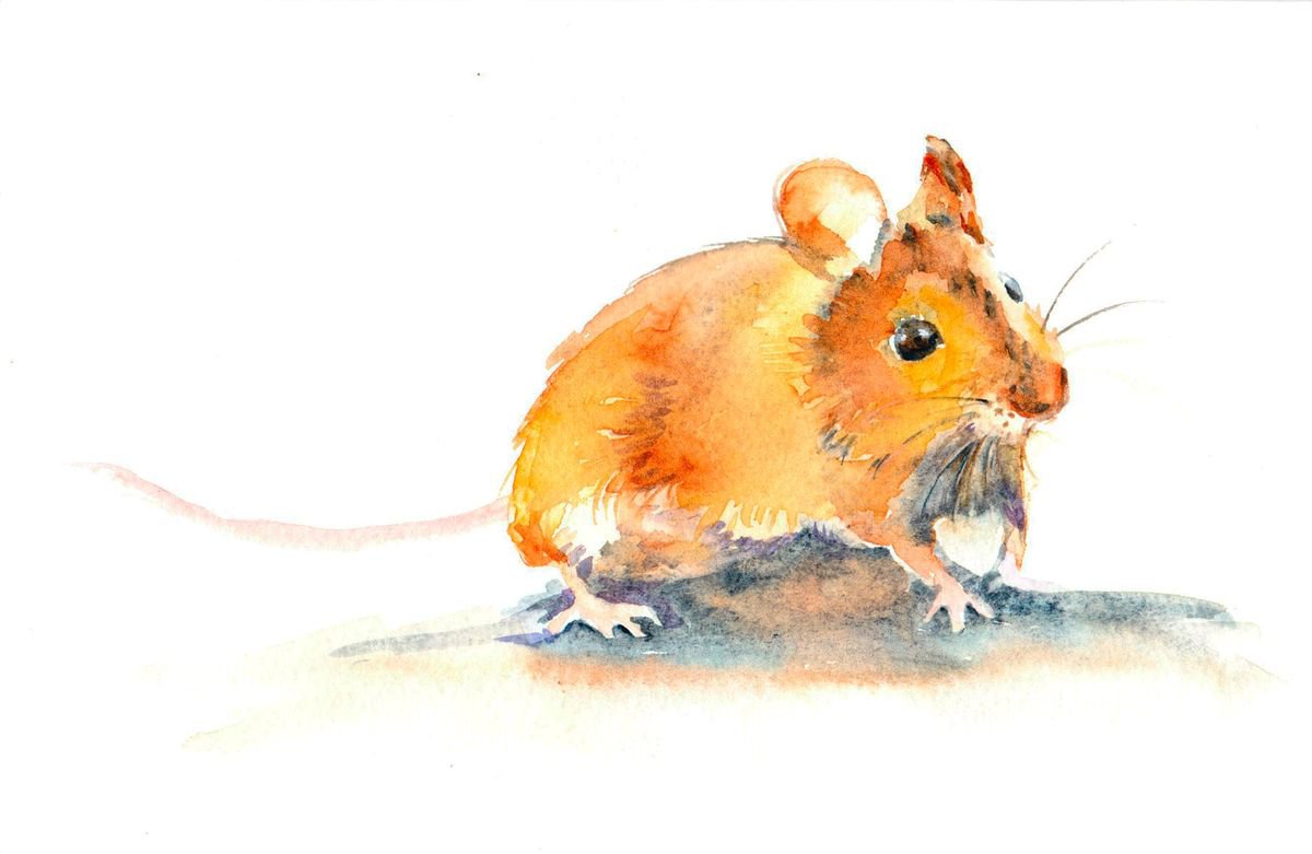 Mouse painting, Mouse watercolour, wildlife watercolour painting, Wildlife Wall art, water... by Anjana Cawdell