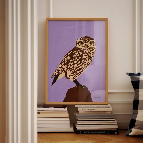 Owl