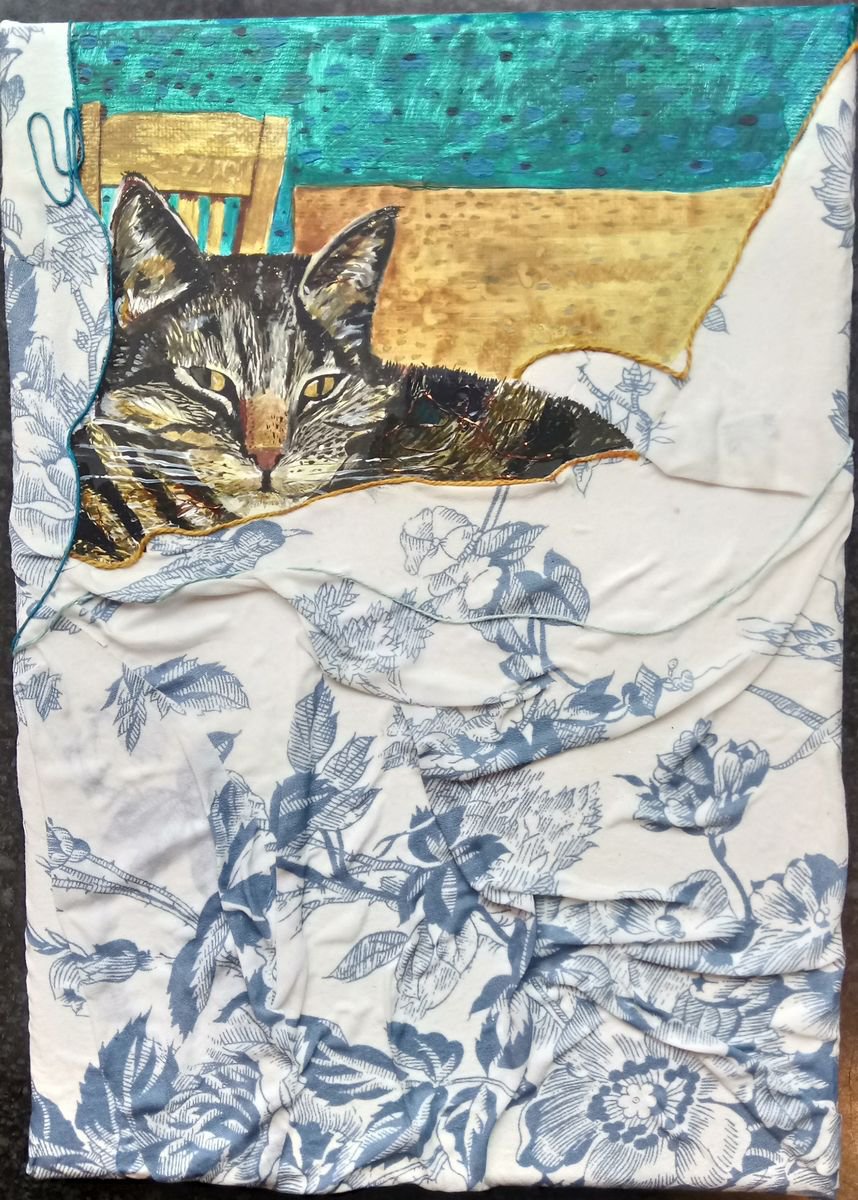 Cat amongst the cushions by Fiona Plaisted