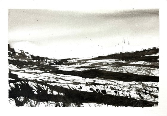 Scotland fields