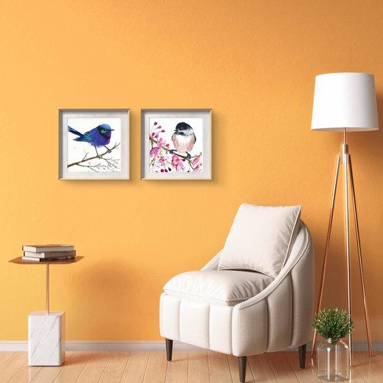 Black-capped chickadee Blossom