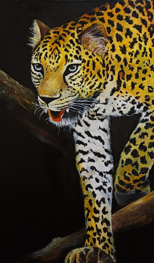 Panthera pardus by Anna Rita Angiolelli