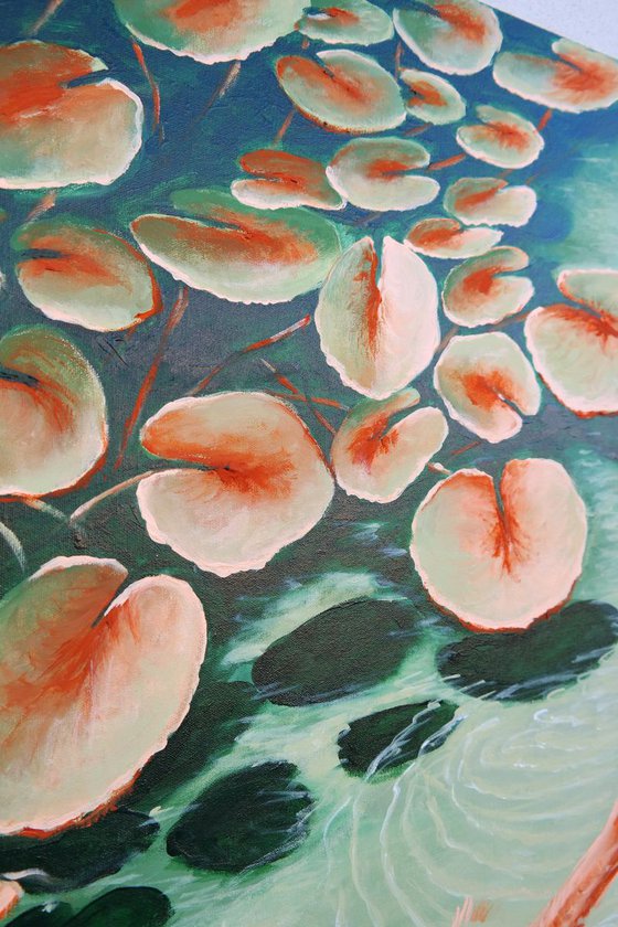 Pond - Water Lilies and the koi