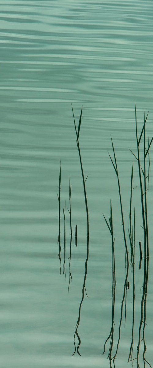 The Patience of Water by Kristine Okuneva