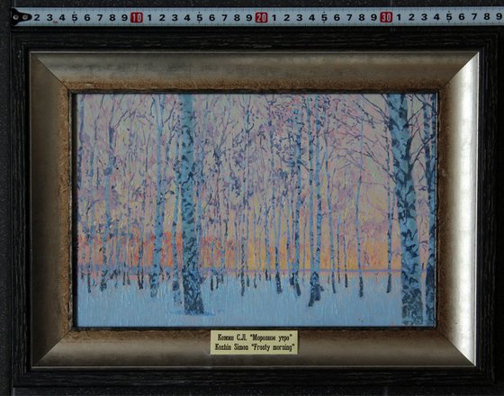 March morning. Birch trees