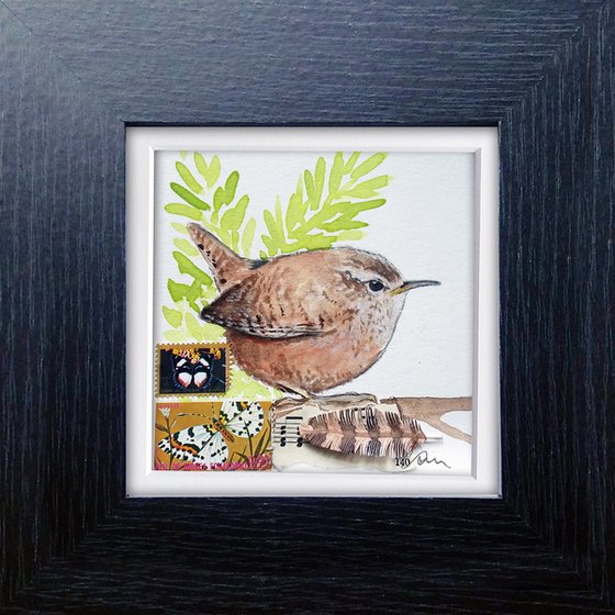 Jenny Wrens' feather  (framed and ready to hang)