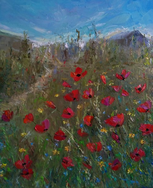 Field of poppies(40x50cm, oil painting, impressionistic) by Kamsar Ohanyan