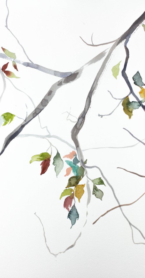 Branch Study No. 18 by Elizabeth Becker