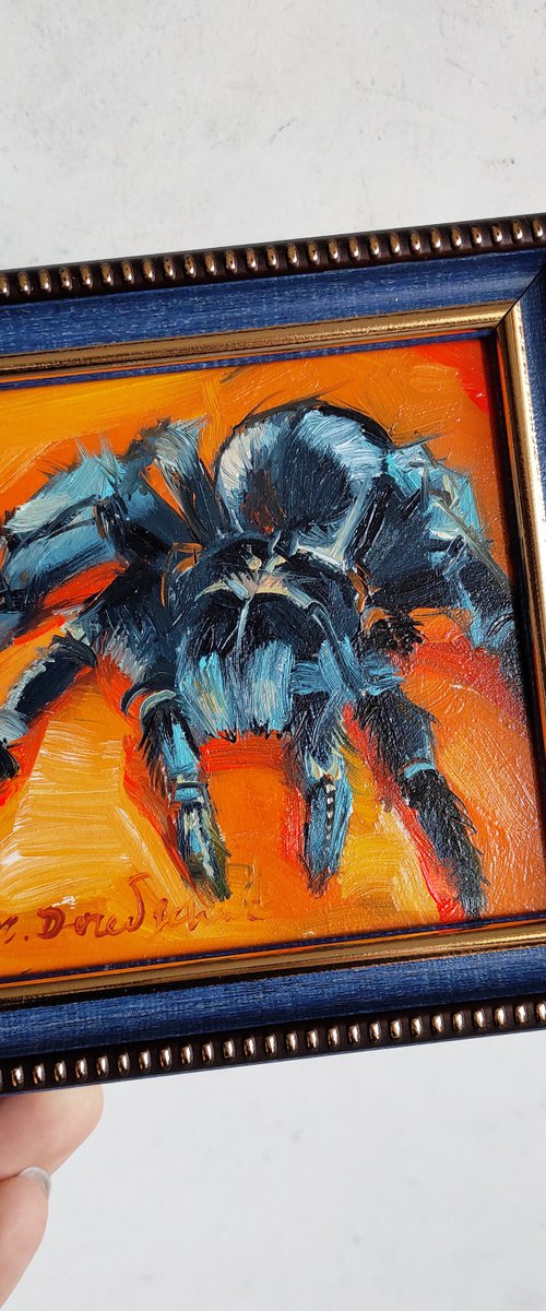Bird Spider by Nataly Derevyanko