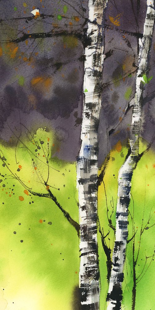 Birch Trees and Stormy Sky by Sophie Rodionov