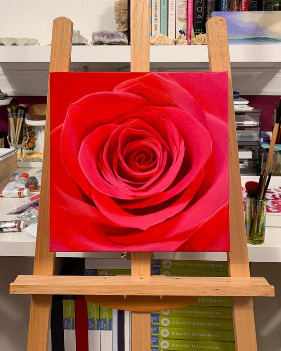 True Love. Rose