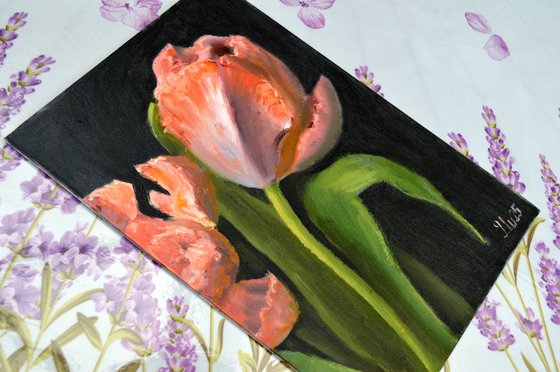 Coral tulips 4