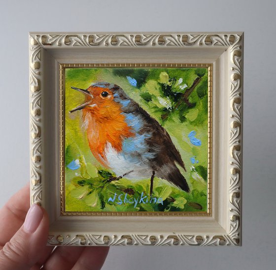 Spring Robin Bird